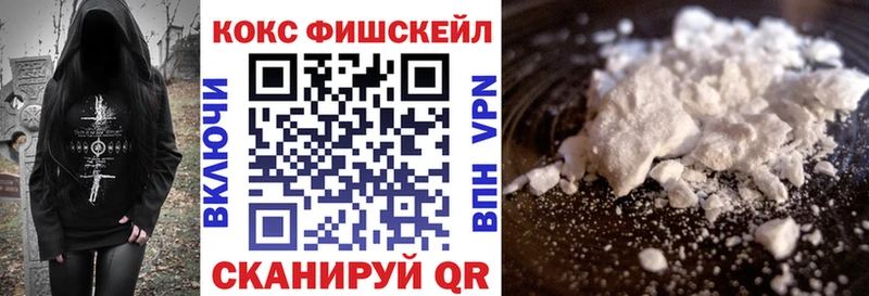 купить   Архангельск  COCAIN Fish Scale 