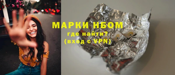 гашик Алексин