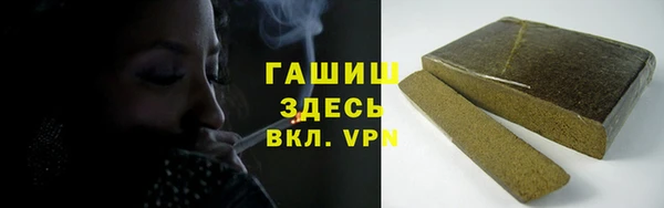 гашик Алексин