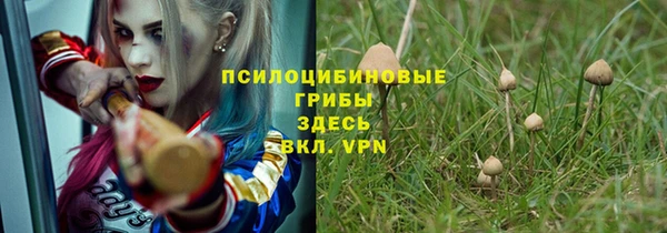 эйфоретик Алзамай