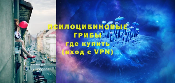 гашик Алексин