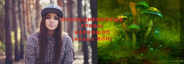 гашик Алексин