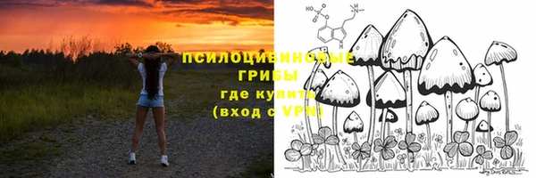 гашик Алексин