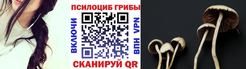 Галлюциногенные грибы GOLDEN TEACHER Архангельск